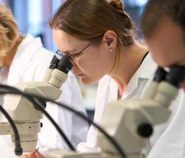 lab-research-microsope-female-sceintists lab-research-microsope-female-sceintists